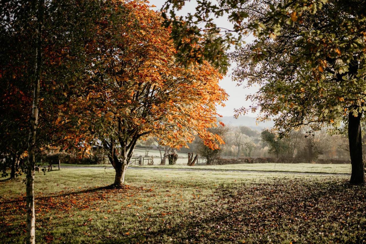 Caplor Glamping & Lodges ヘレフォード エクステリア 写真